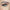 Ardell Naked Lashes - 431 (Model Shot)